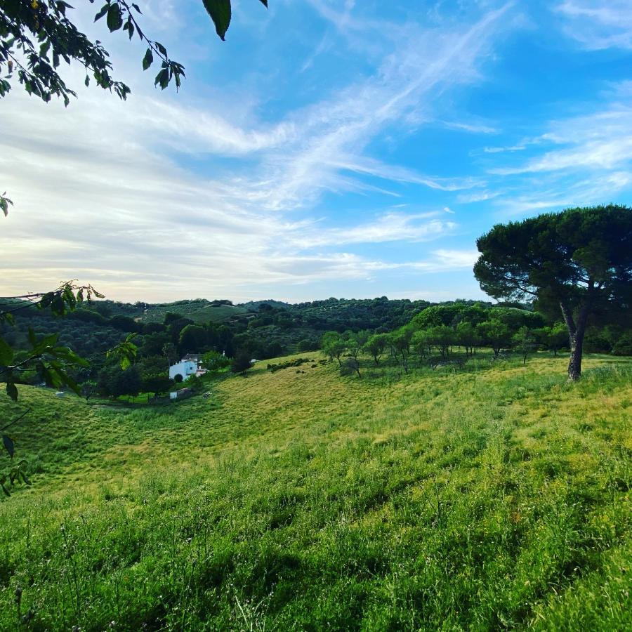 La Escribana Villa Constantina Exteriör bild